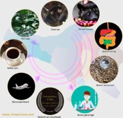 Kopi Luwak Koffie. 35 Gram Ongemalen Bonen. Direct Trade. Single Origin. The Original By Rich.Exclusive. 26 Kopi Luwak Koffie. 35 Gram Ongemalen Bonen. Direct Trade. Single Origin. The Original By Rich.Exclusive. -Koffie Promotie Winkel 1200x1153 1