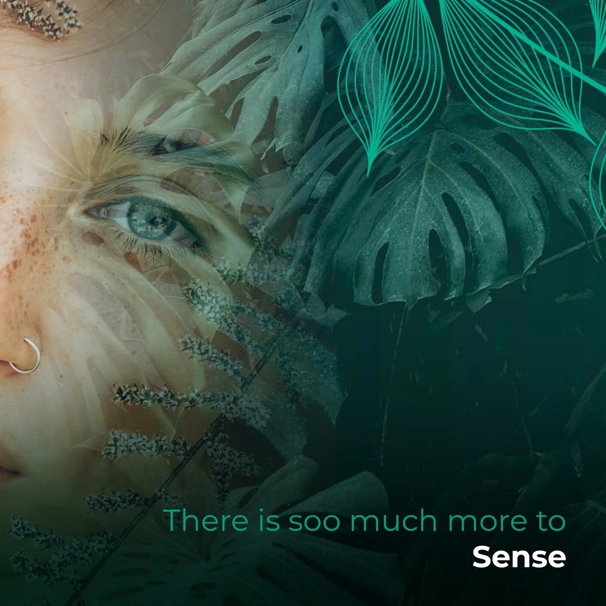 Soolong Sense Oost Timor Nr1000 Koffiebonen Smooth Lacau - Speciality Koffie Arabica Medium Roast Met Rijke Kruidige Smaak Met Heerlijke Ondertonen Van Karamel - Zak 250gram 4 Soolong Sense Oost Timor Nr1000 Koffiebonen Smooth Lacau - Speciality Koffie Arabica Medium Roast Met Rijke Kruidige Smaak Met Heerlijke Ondertonen Van Karamel - Zak 250gram - Afbeelding 2