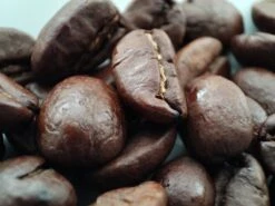 Voordeelpakket: Den Leeuw Lungo (80 Koffiecups) - Roast Koffiecups - Echte Hollandsche Koffie Van Den Leeuw In Nespresso Cups - Nespresso Compatibele Koffie Cups 12 Voordeelpakket: Den Leeuw Lungo (80 Koffiecups) - Roast Koffiecups - Echte Hollandsche Koffie Van Den Leeuw In Nespresso Cups - Nespresso Compatibele Koffie Cups -Koffie Promotie Winkel 1200x900