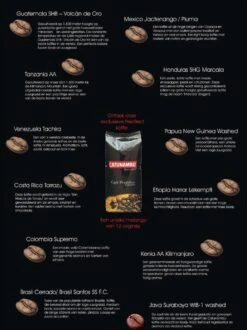 Catunambú Predilect Koffiebonen 500gram - Premium Kwaliteit Koffie - Horecakoffie Voor Thuis - Ultiem Koffiegenot 5 Catunambú Predilect Koffiebonen 500gram - Premium Kwaliteit Koffie - Horecakoffie Voor Thuis - Ultiem Koffiegenot -Koffie Promotie Winkel 897x1200
